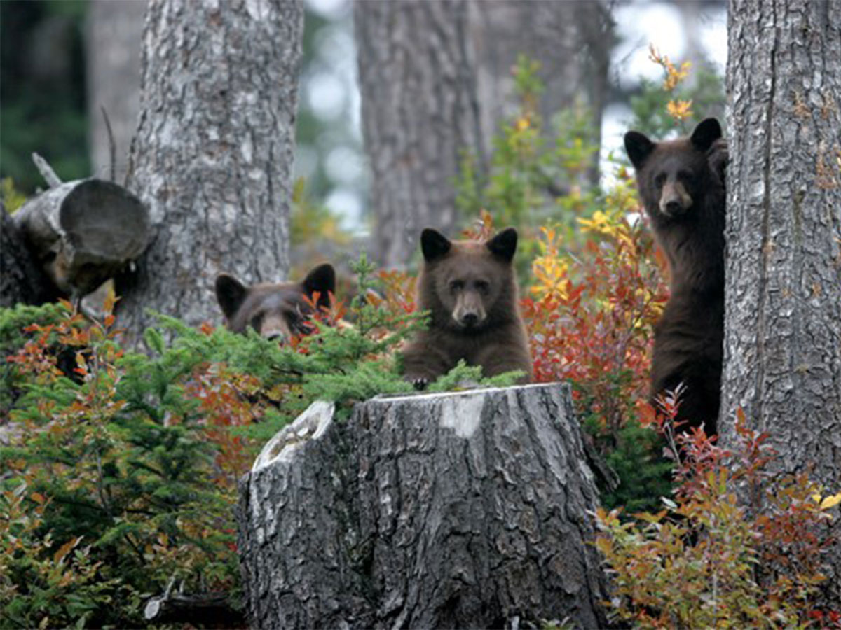 Having fun hanging around