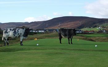 Brora Golf Club